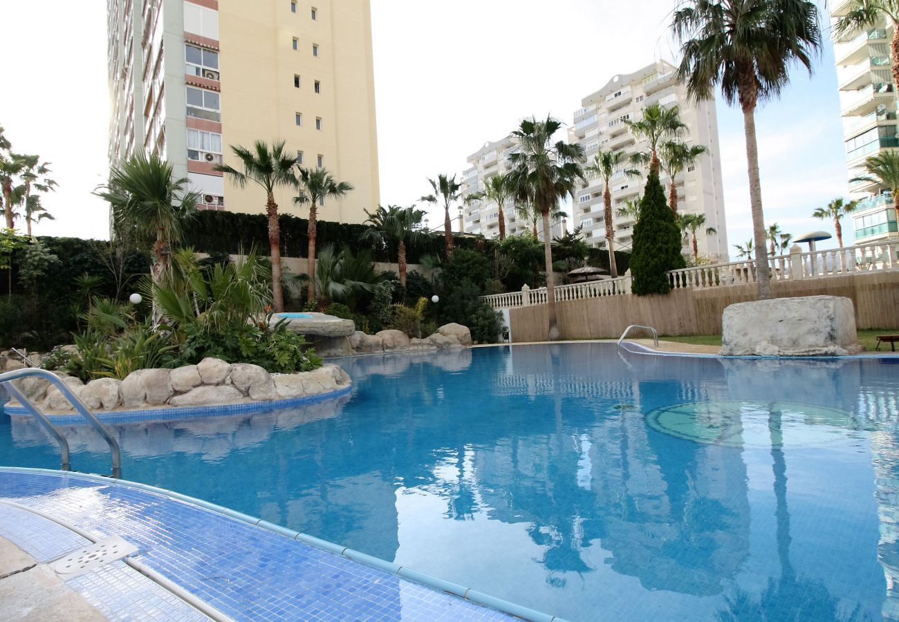 Gran piscina con naturaleza en el apartamento vacacional en Alicante
