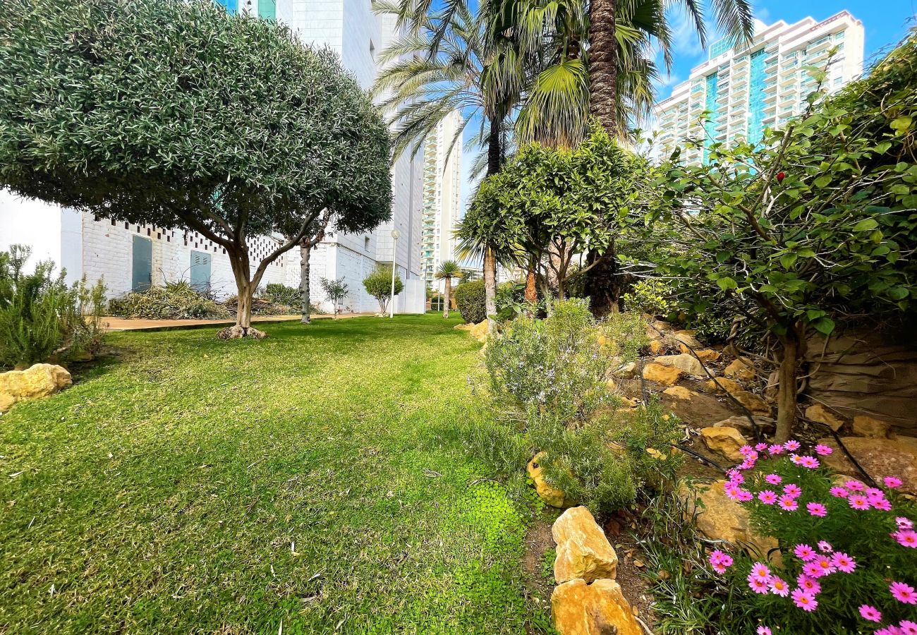 Zona verde con árboles del apartamento vacacional