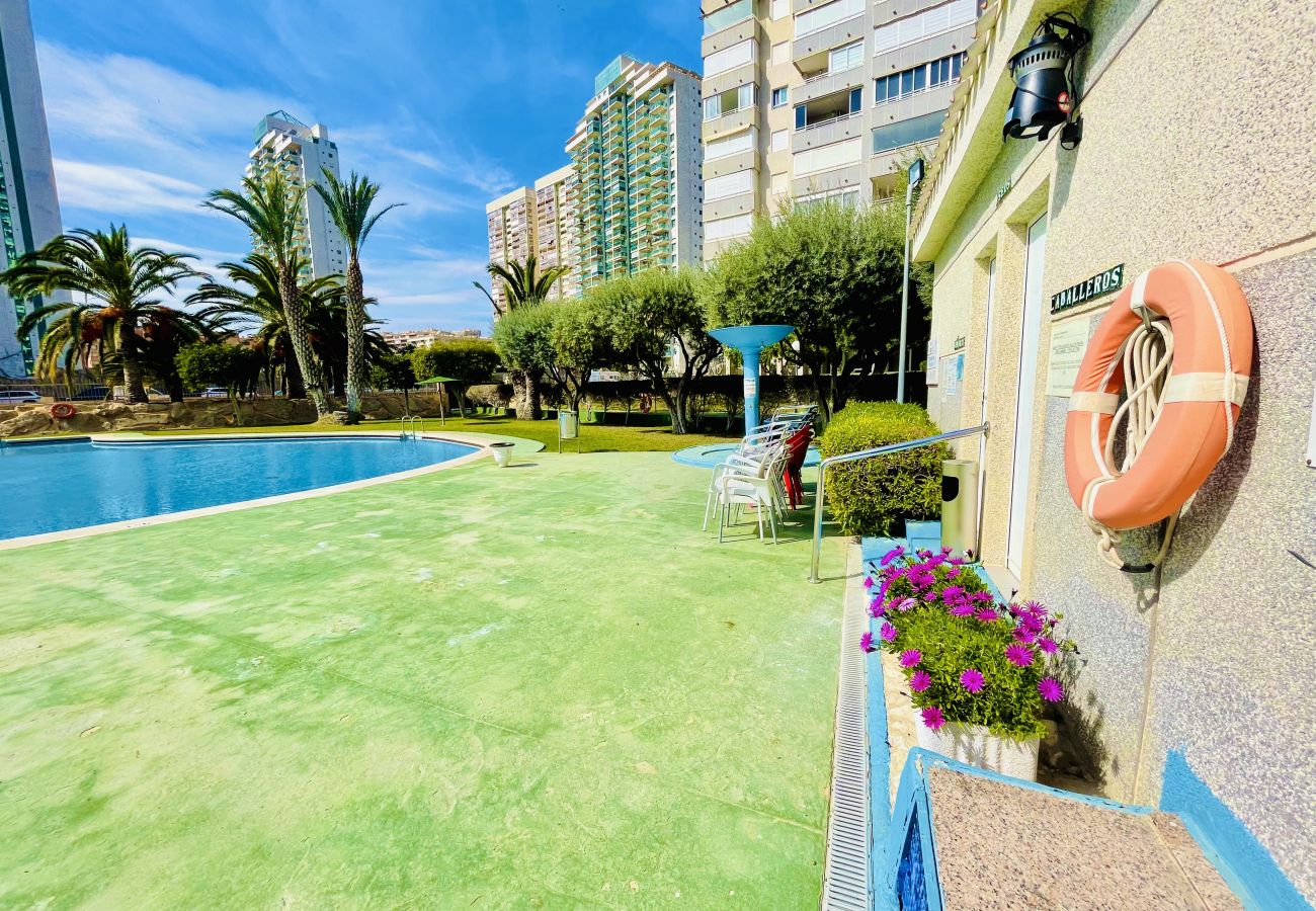 Zona verde con piscina del apartamento de alquiler vacacional de alicante