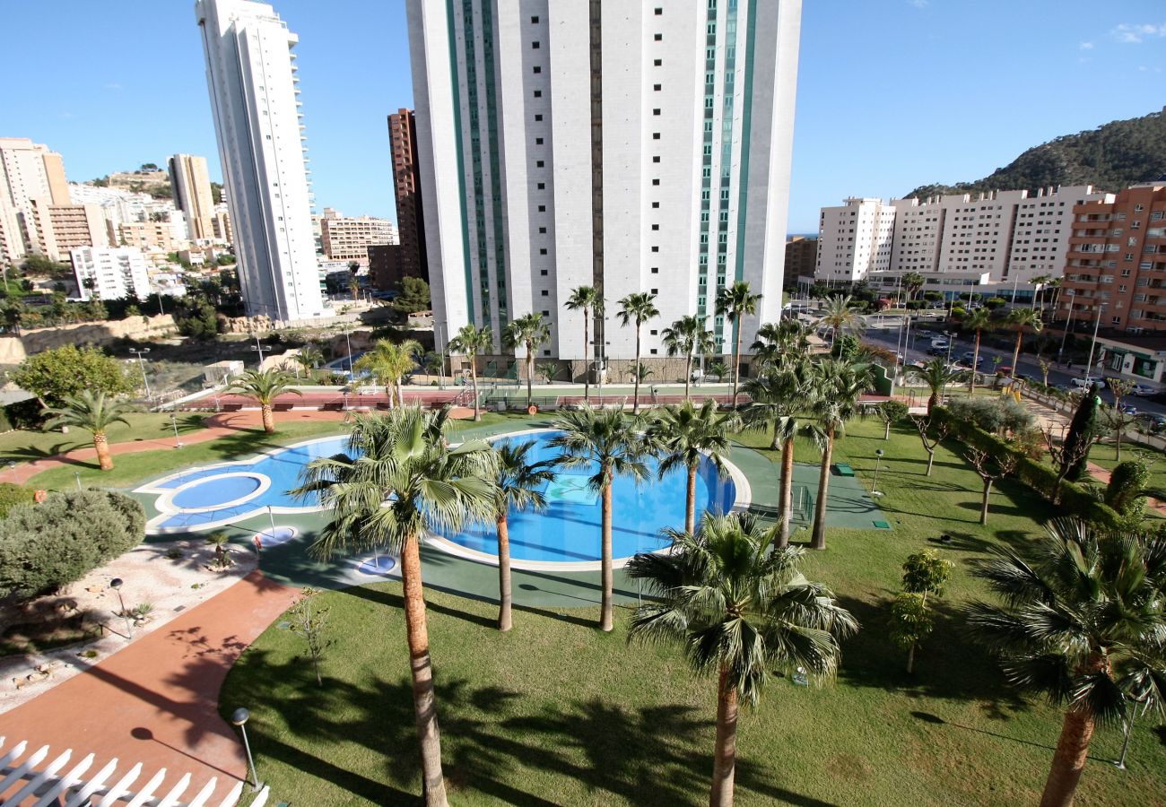 Zona común con piscina y palmeras del apartamento vacacional de Alicante