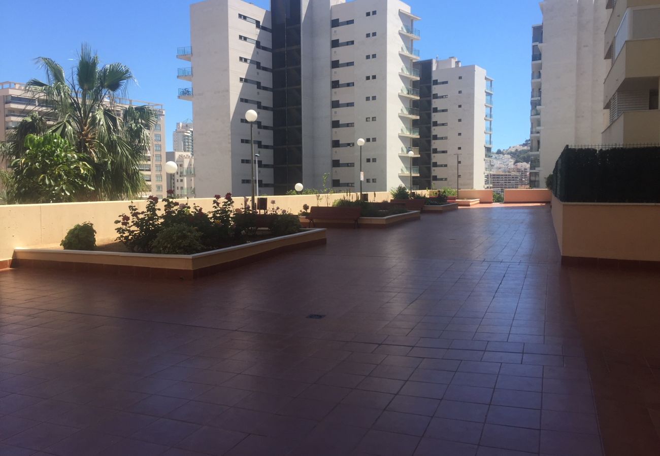 Apartamento en Villajoyosa - A826 - Niagara