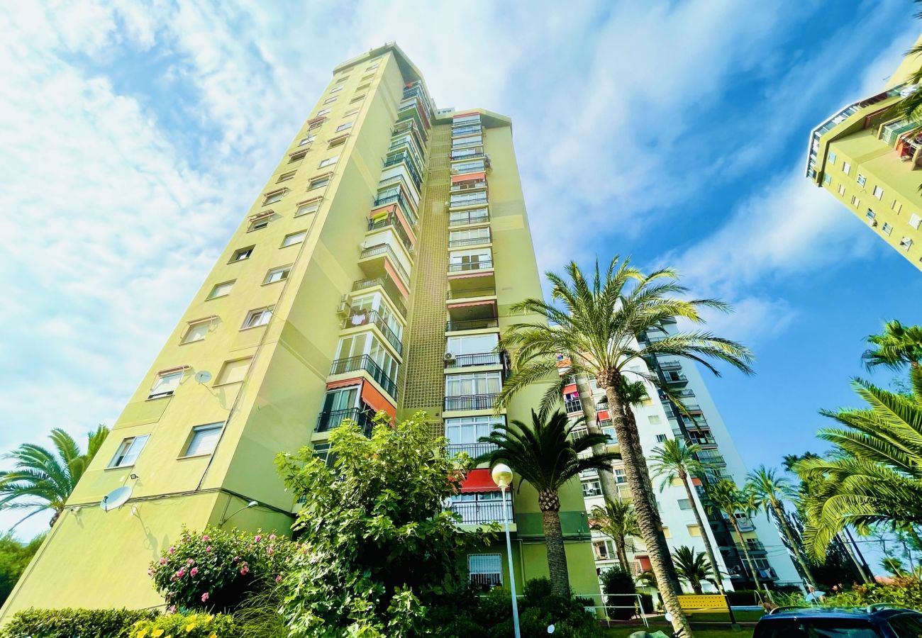 Apartamento en Benidorm - A697 - Club Médico