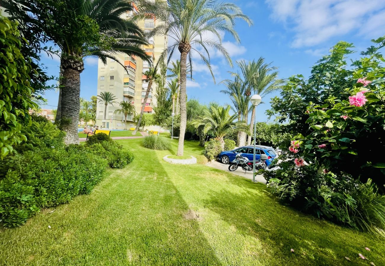Apartamento en Benidorm - A697 - Club Médico