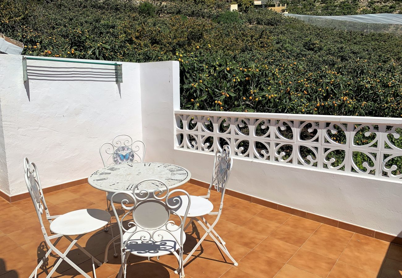 Casa rural en Callosa - T867 - La Rodeta