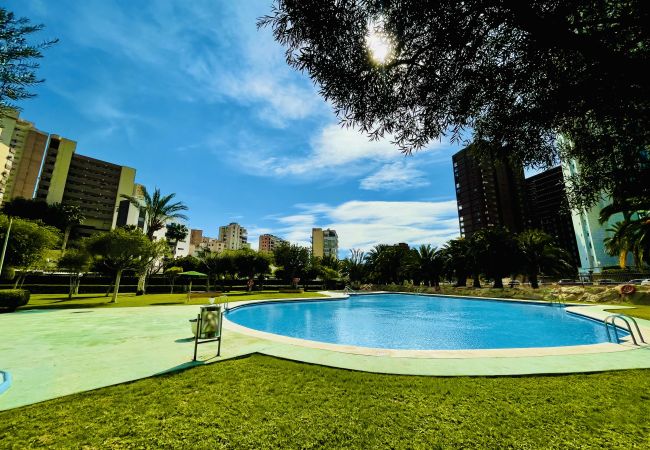 Piscina y césped natural del apartamento vacacional de Finestrat