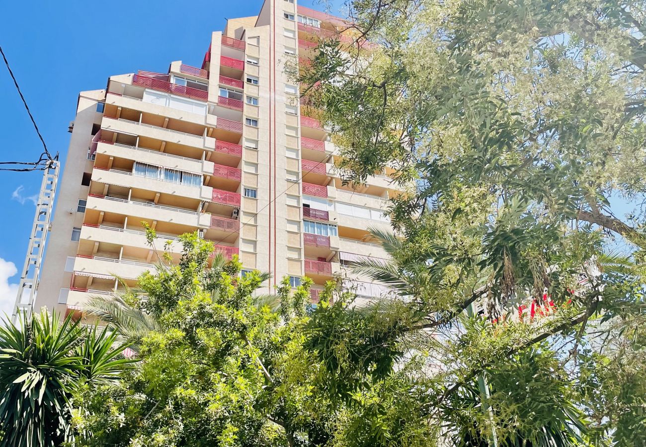 Apartamento en Benidorm - A929 - El Faro