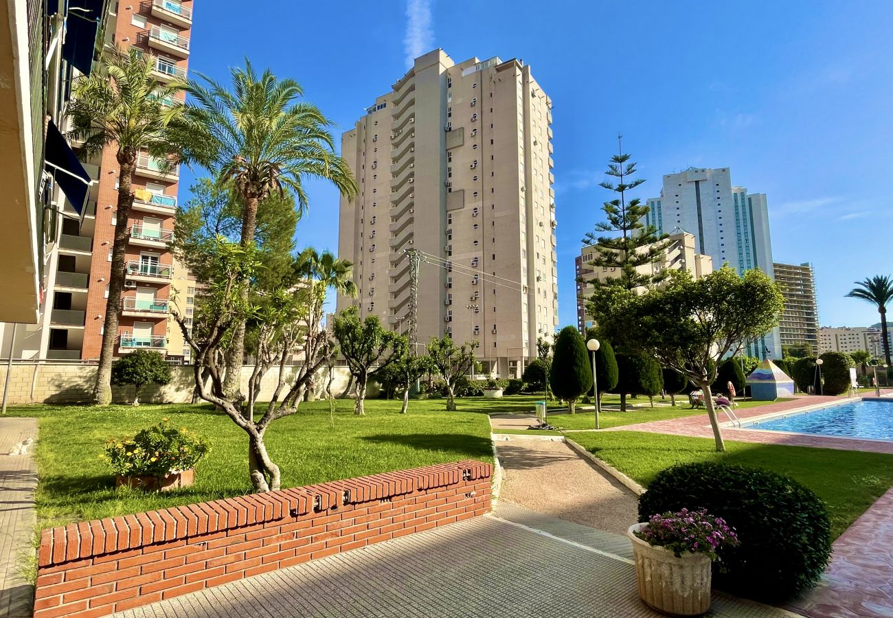 Estudio en Cala de Finestrat - A972 - Hannibal