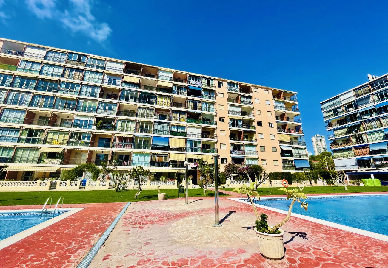 Estudio en Cala de Finestrat - A972 - Hannibal