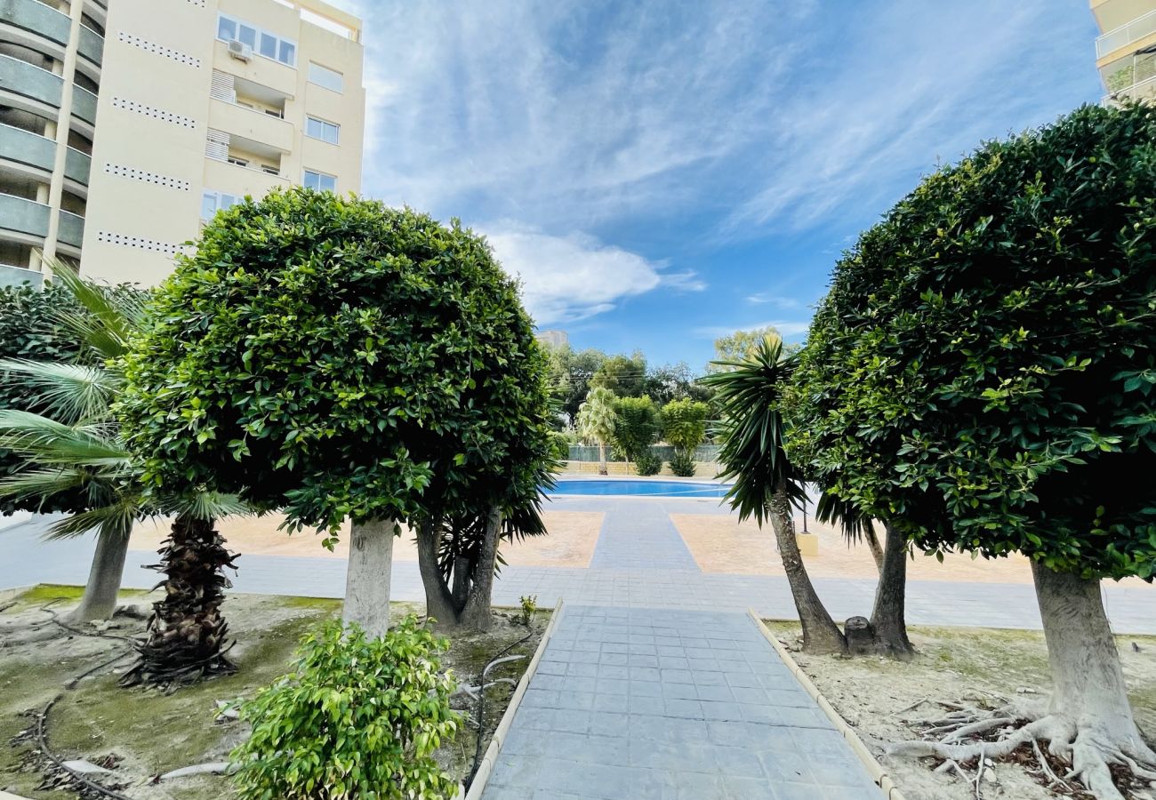 Apartamento en Cala de Finestrat - T982 - Finestrat