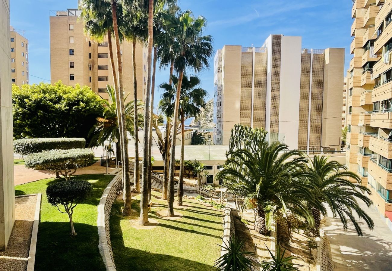Apartamento en Benidorm - A417 - Entreplayas 2