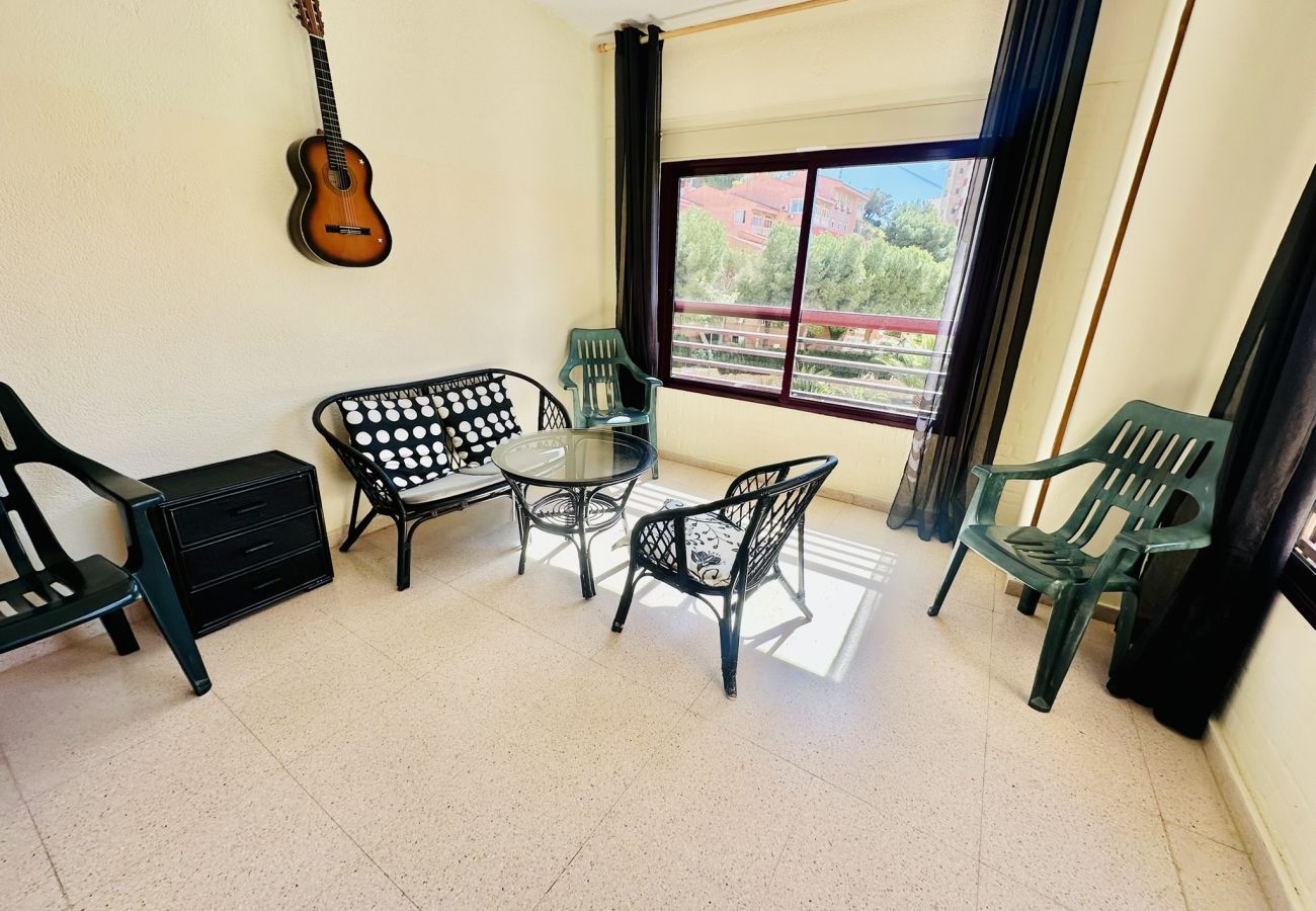 Apartamento en Benidorm - A417 - Entreplayas 2