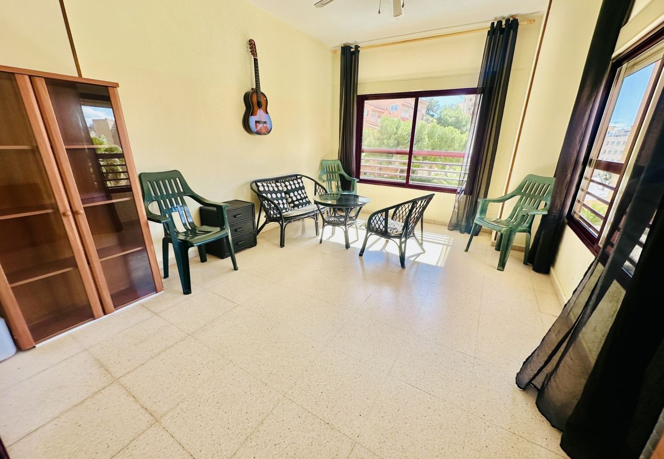 Apartamento en Benidorm - A417 - Entreplayas 2