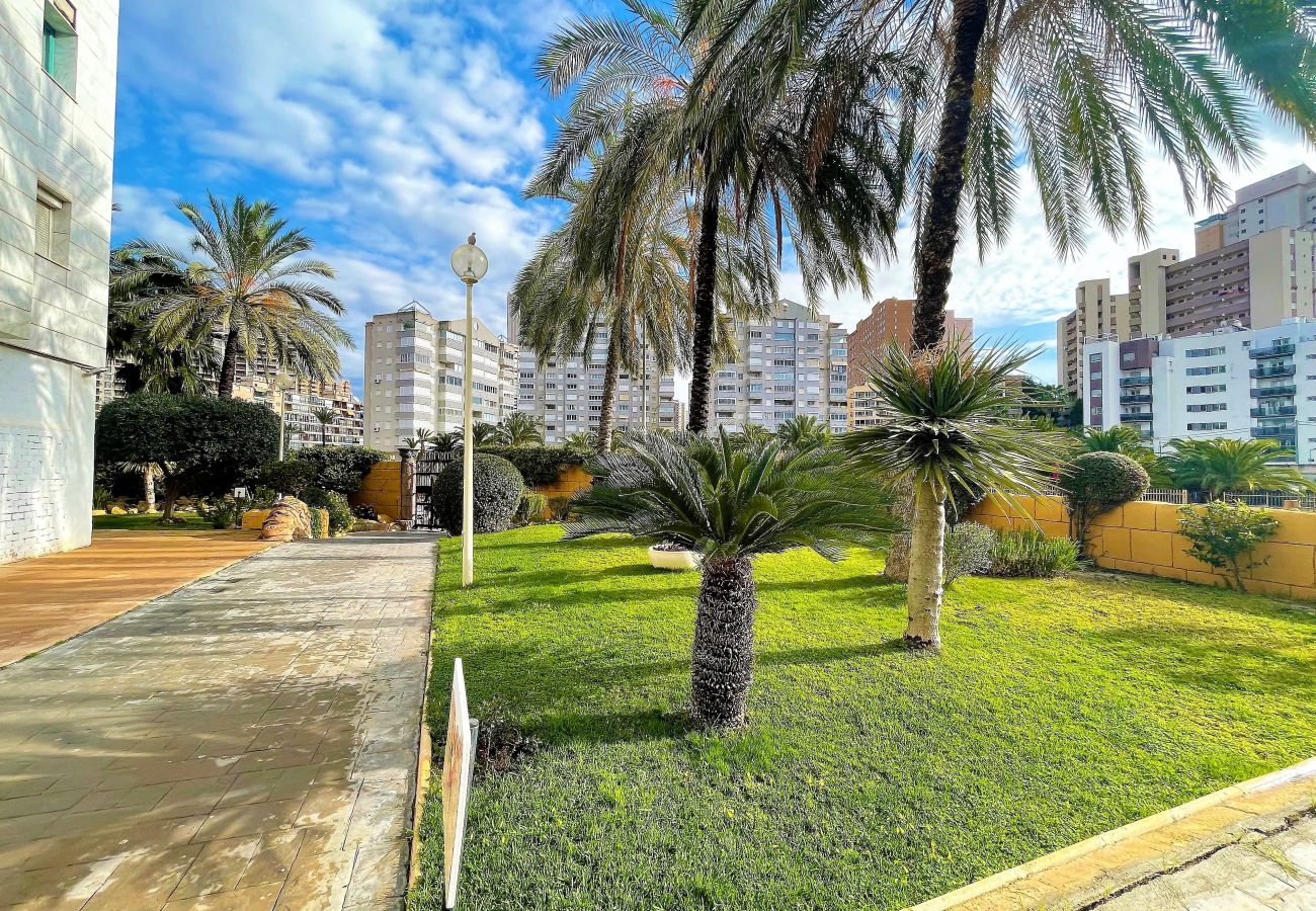 Zonas comunes del apartamento de alquiler vacacional en Alicante