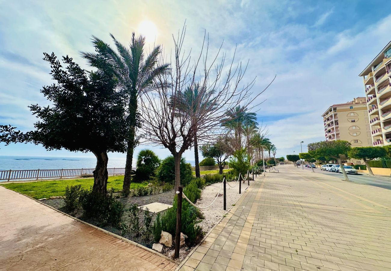 Apartamento en Villajoyosa - A1040 - Terramar 1