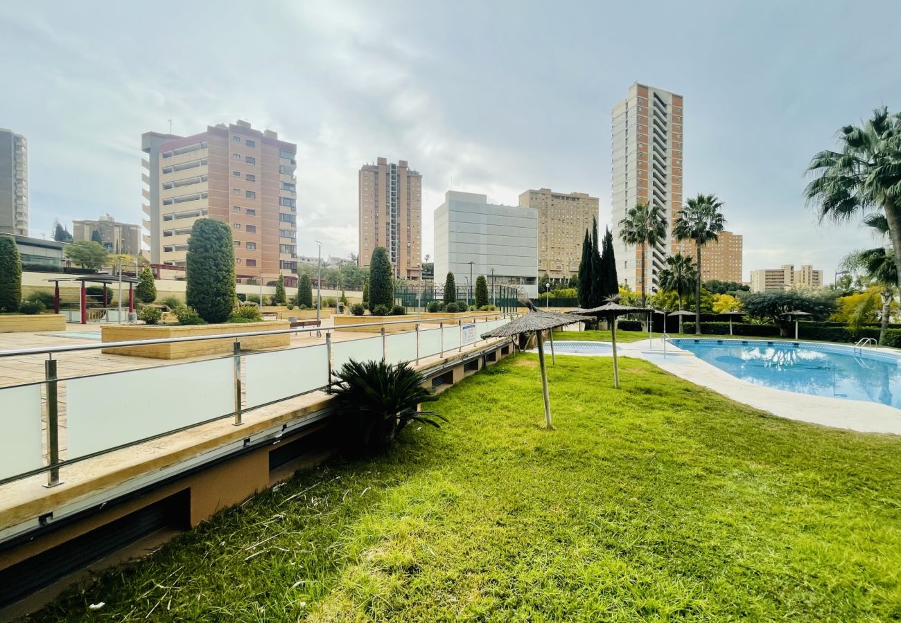 Apartamento en Benidorm - A1043 - Torre Dos Calas