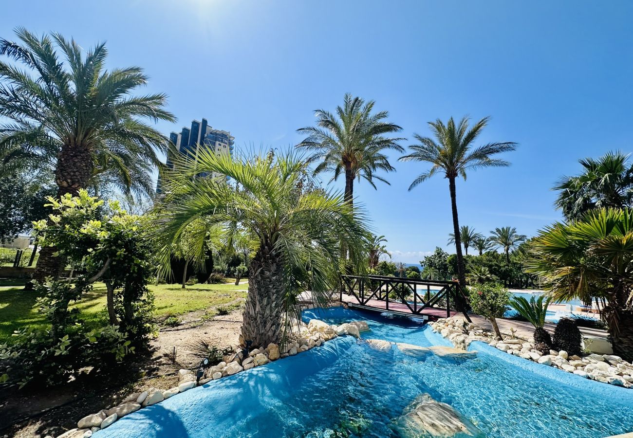 Apartamento en Benidorm - T1112 - Coblanca 40