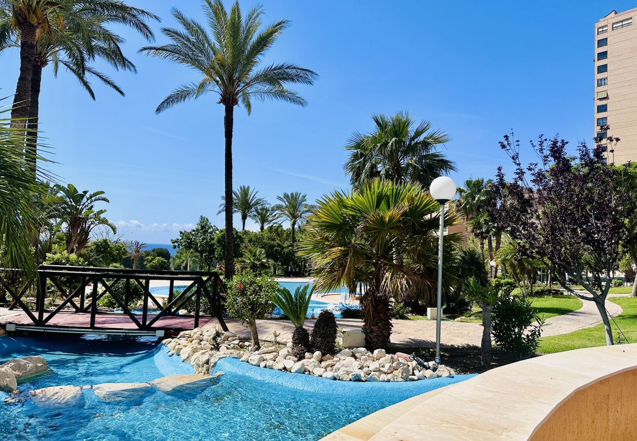 Apartamento en Benidorm - T1112 - Coblanca 40