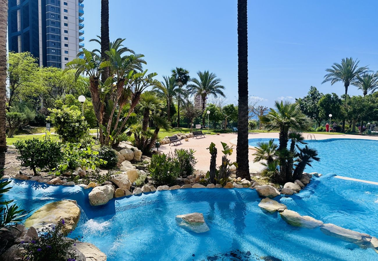 Apartamento en Benidorm - T1112 - Coblanca 40