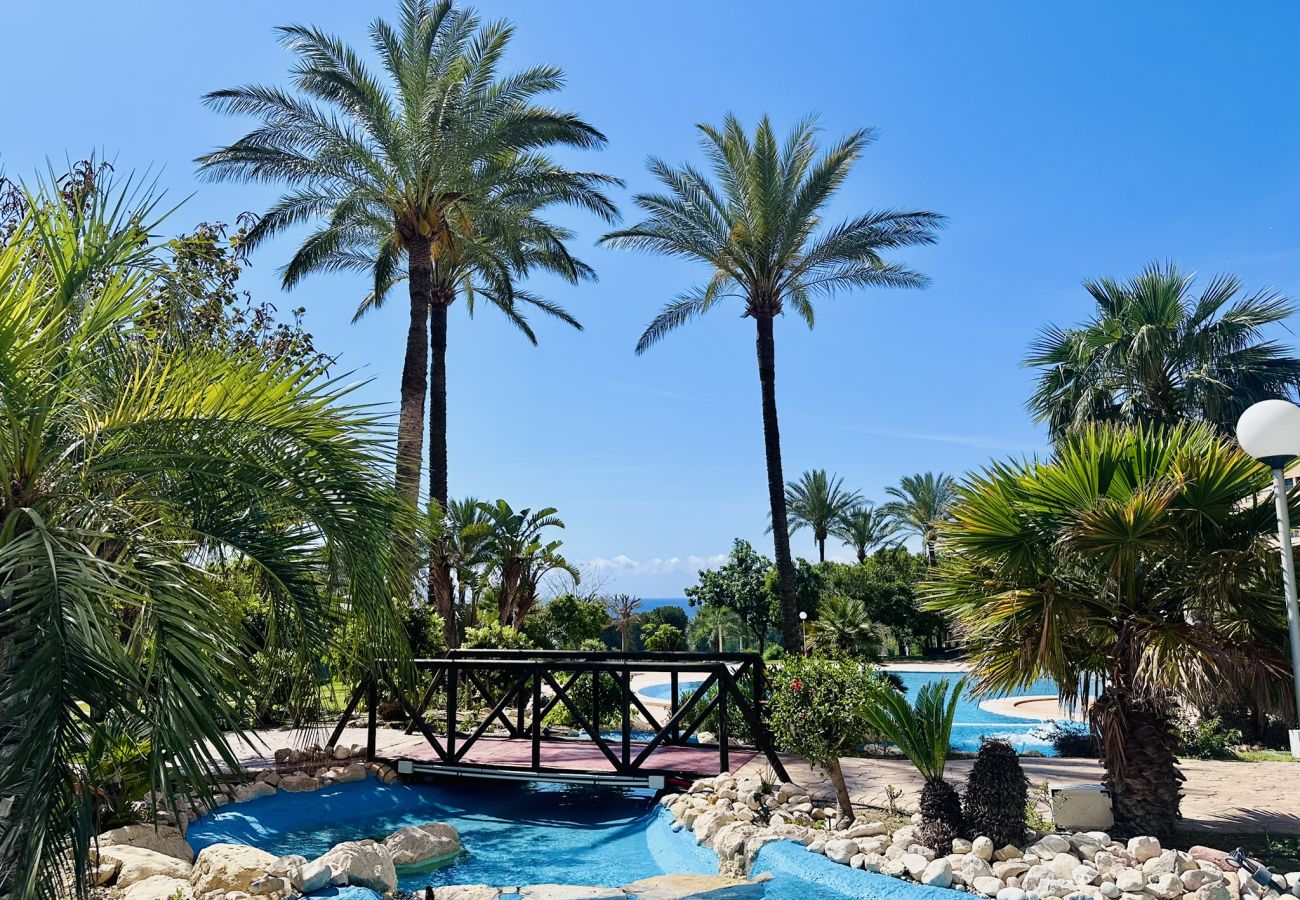 Apartamento en Benidorm - T1112 - Coblanca 40