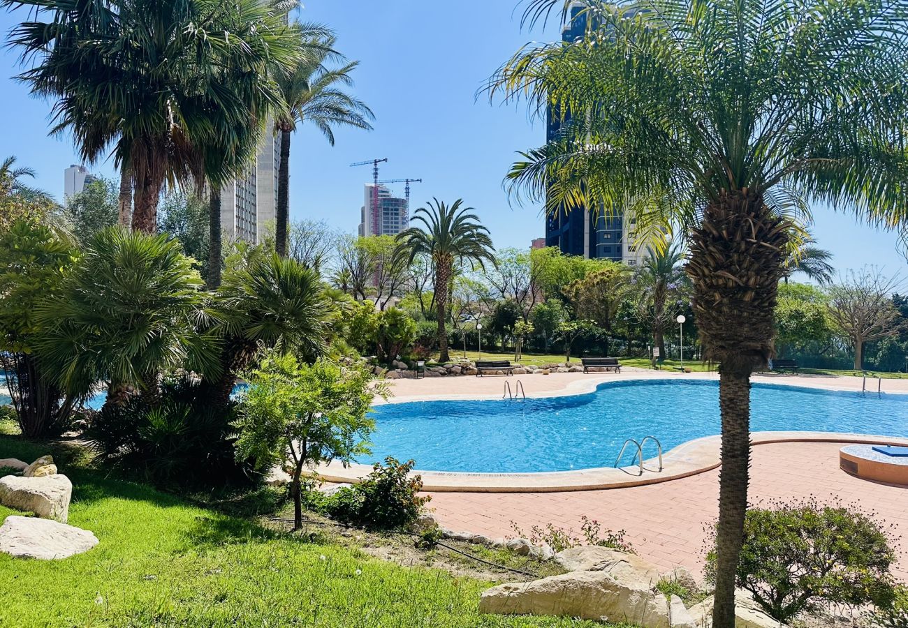 Apartamento en Benidorm - T1112 - Coblanca 40