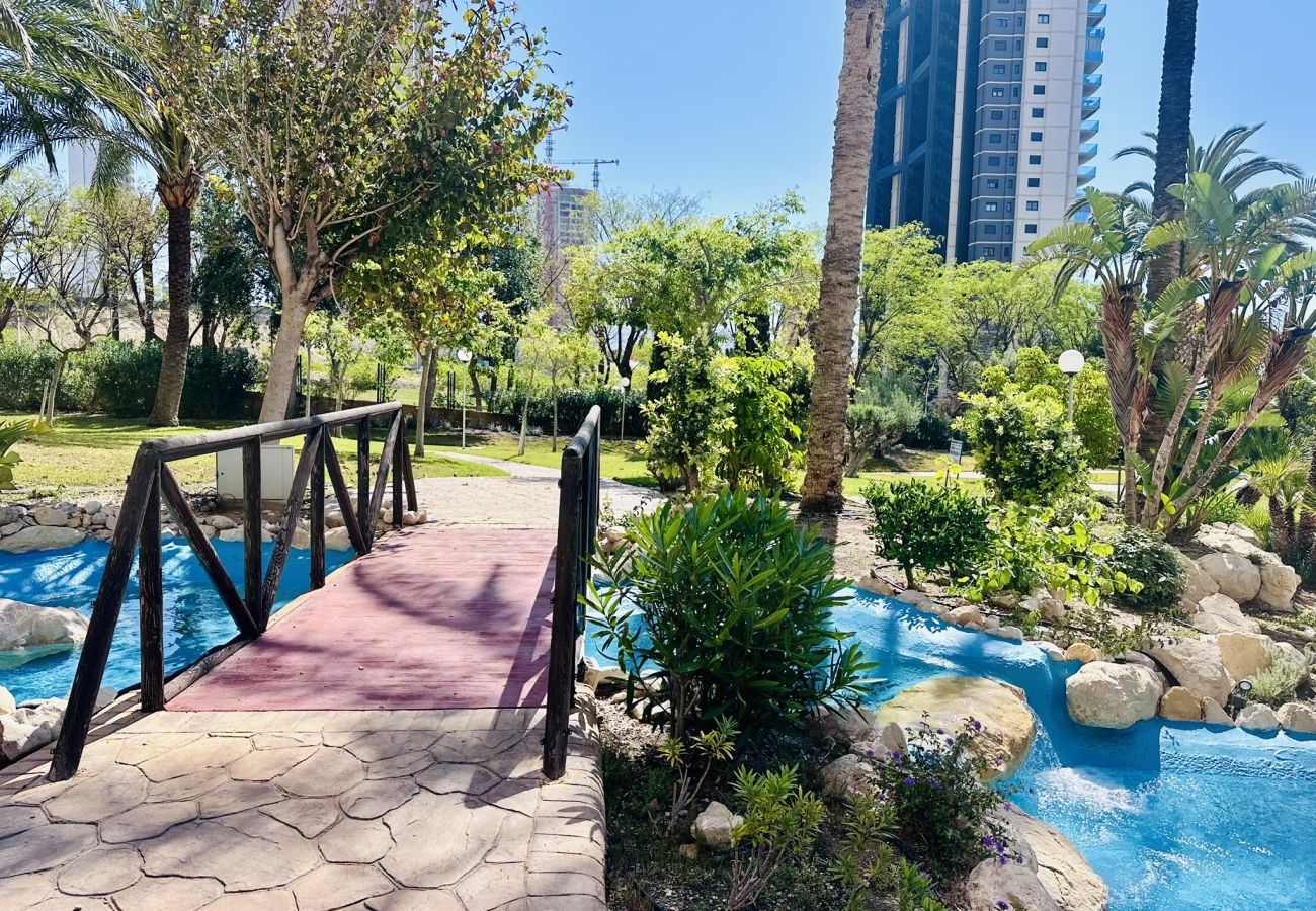 Apartamento en Benidorm - T1112 - Coblanca 40