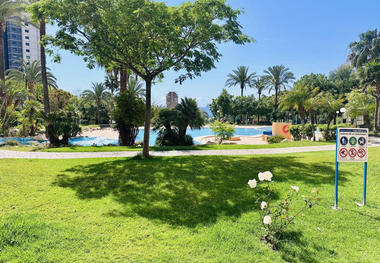 Apartamento en Benidorm - T1112 - Coblanca 40