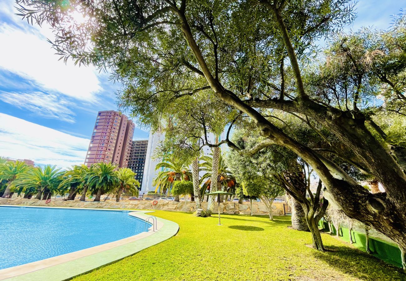 Apartamento en Cala de Finestrat - T1156 - Calasol