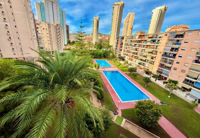 Apartamento en Cala de Finestrat - T1174 - Hannibal