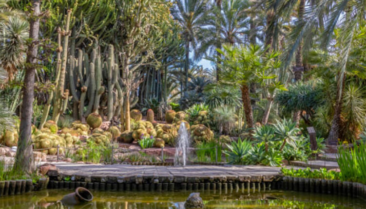 parque de elche, alicante
