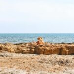 Perro de vacaciones en la playa