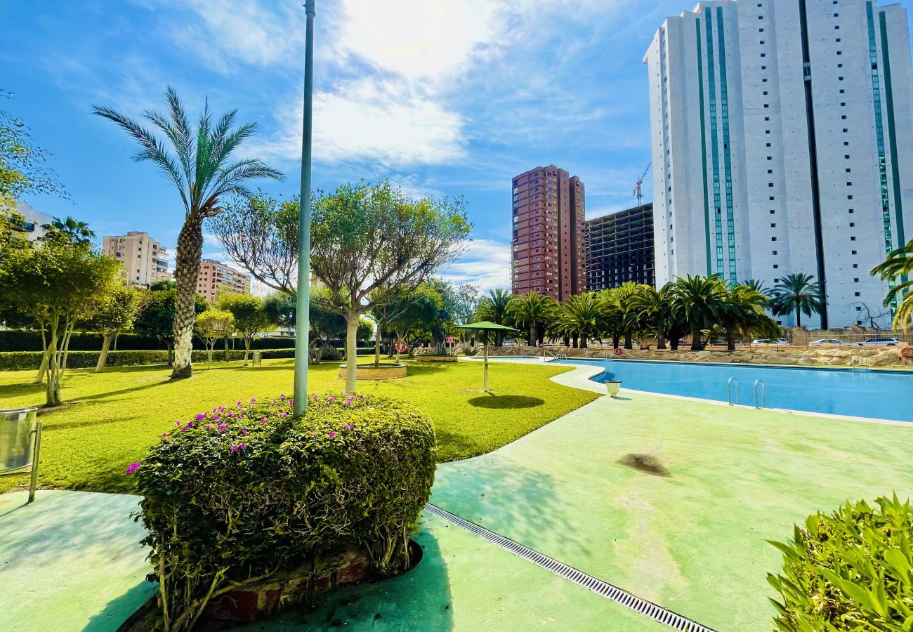 Swimming pool and common areas of a holiday flat