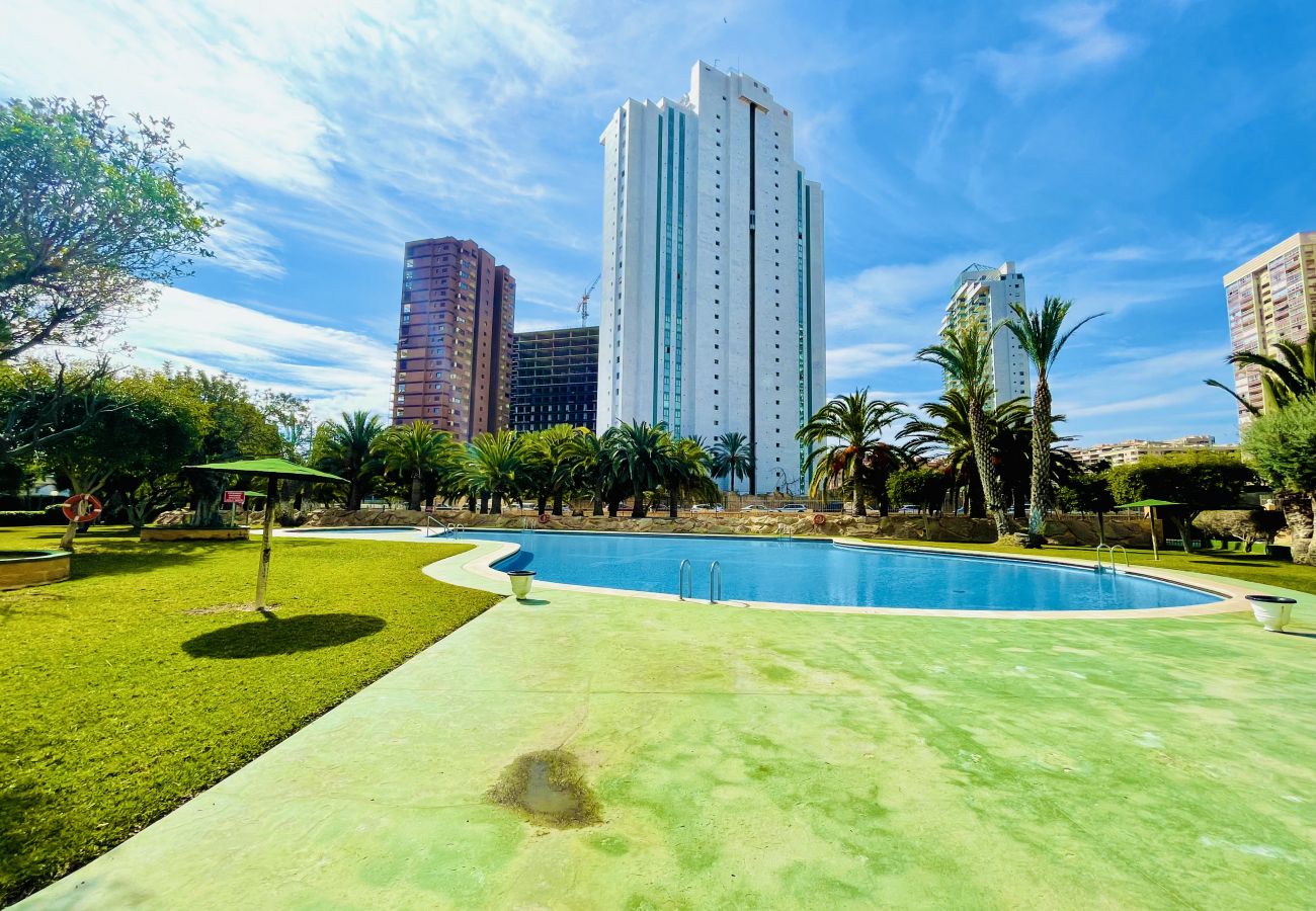 Large swimming pool and green areas in the common areas of a holiday flat