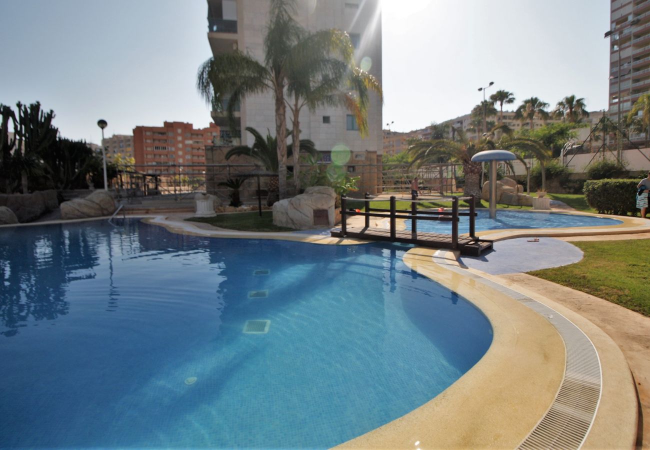 Large swimming pools of this holiday rental flat in Alicante