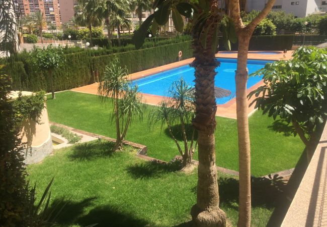 Common area of the holiday flat with swimming pool and natural lawns