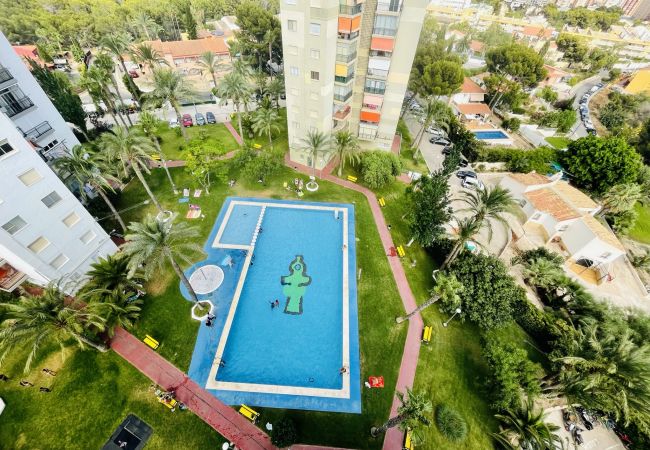 Apartment in Benidorm - A697 - Club Médico