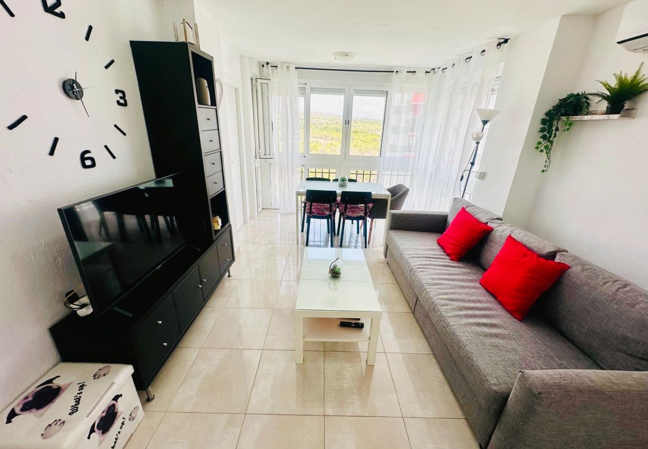 Apartment in Benidorm - A697 - Club Médico