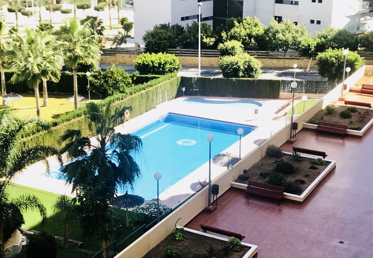 Views of the swimming pool of the holiday rental flat in Alicante