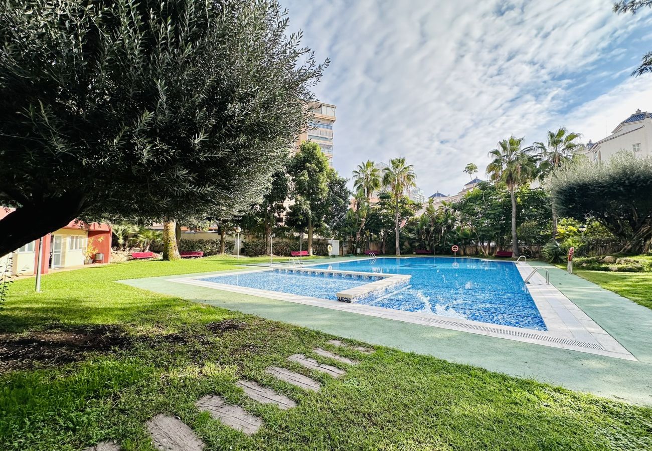 Swimming pool with natural grass in holiday flat cala Finestrat