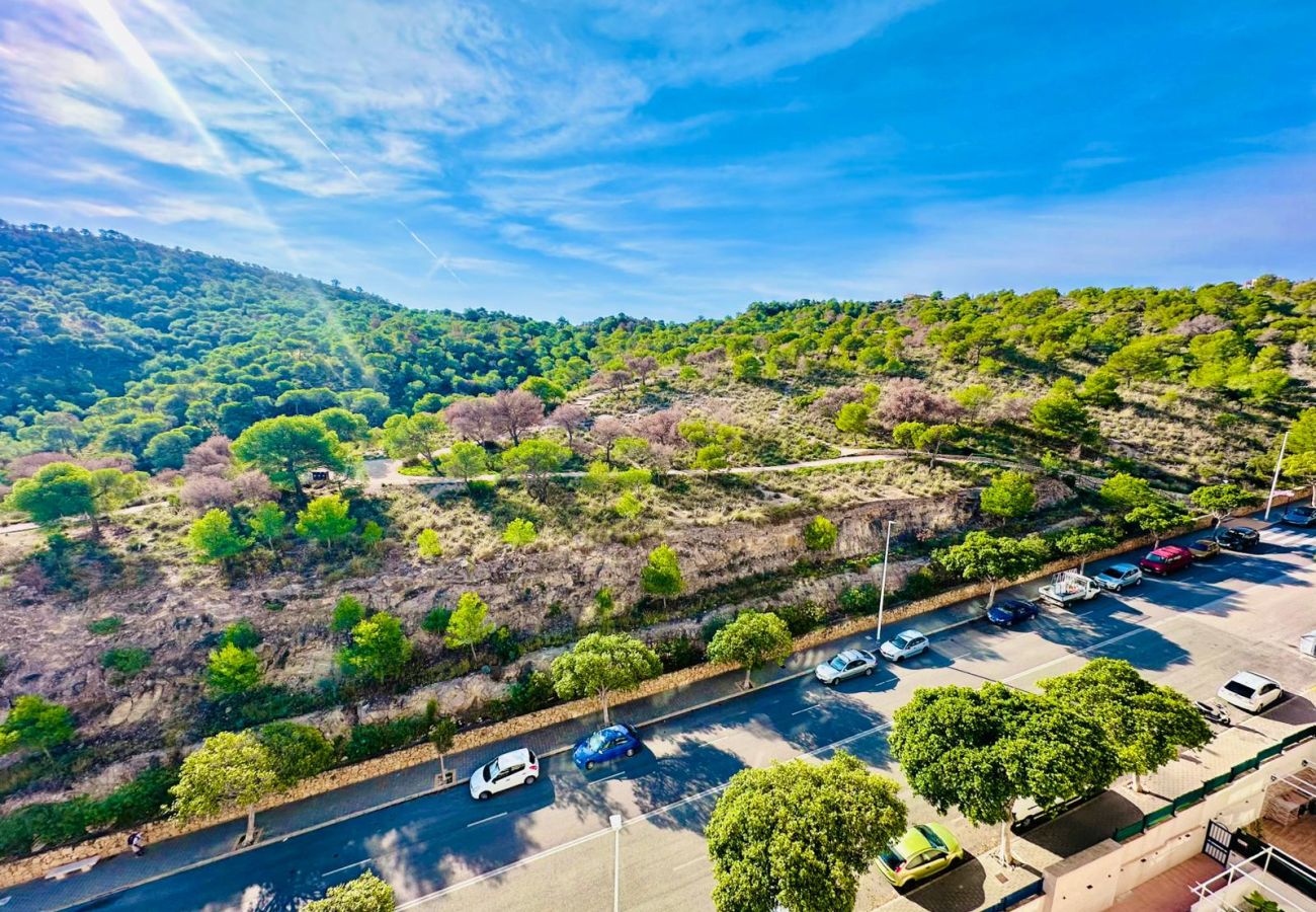 Apartment in Villajoyosa - T1110 - Las Azaleas