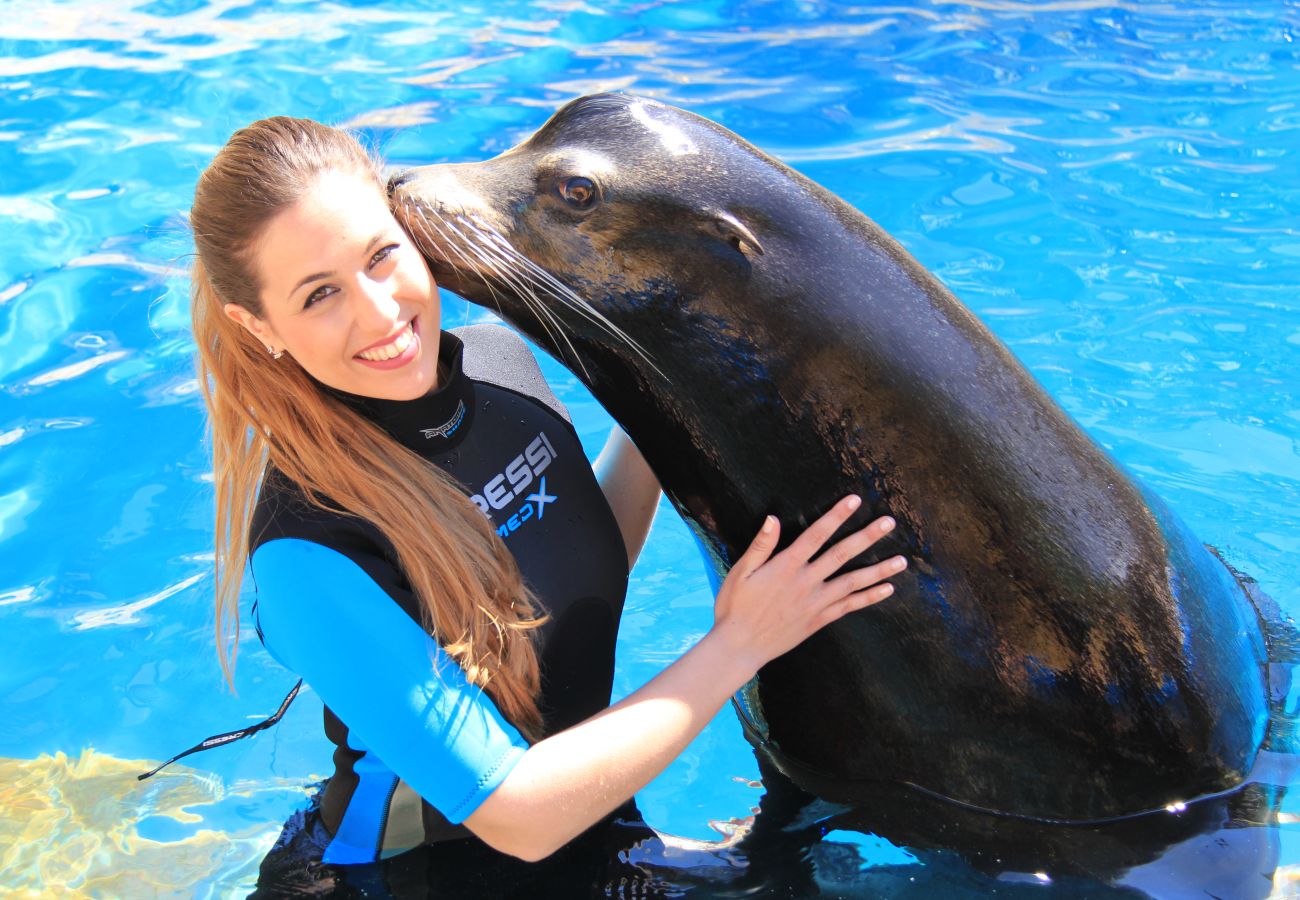 Apartment in Cala de Finestrat - T1127 - Atalaya