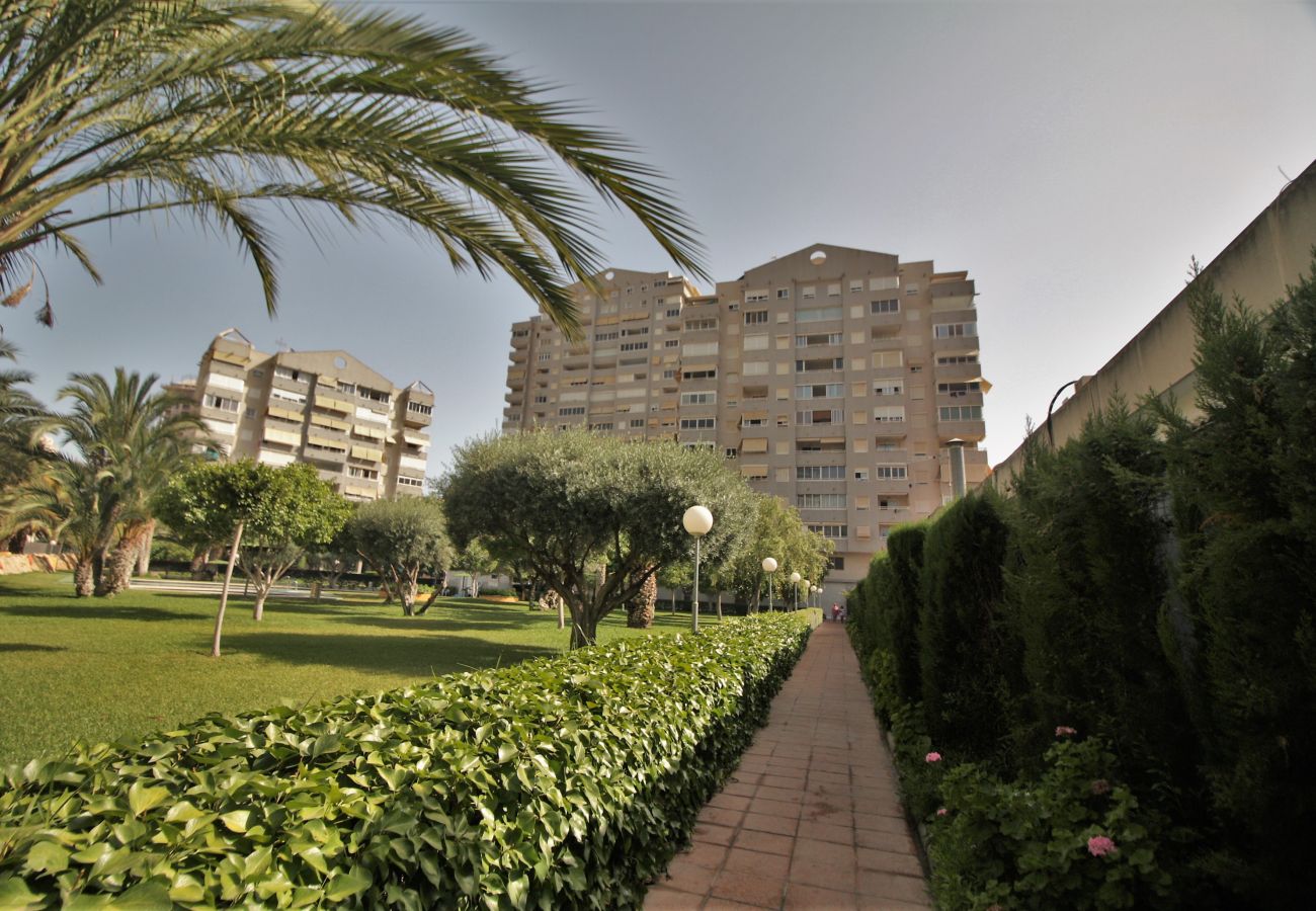 Appartement à Cala de Finestrat - A11 - Calasol