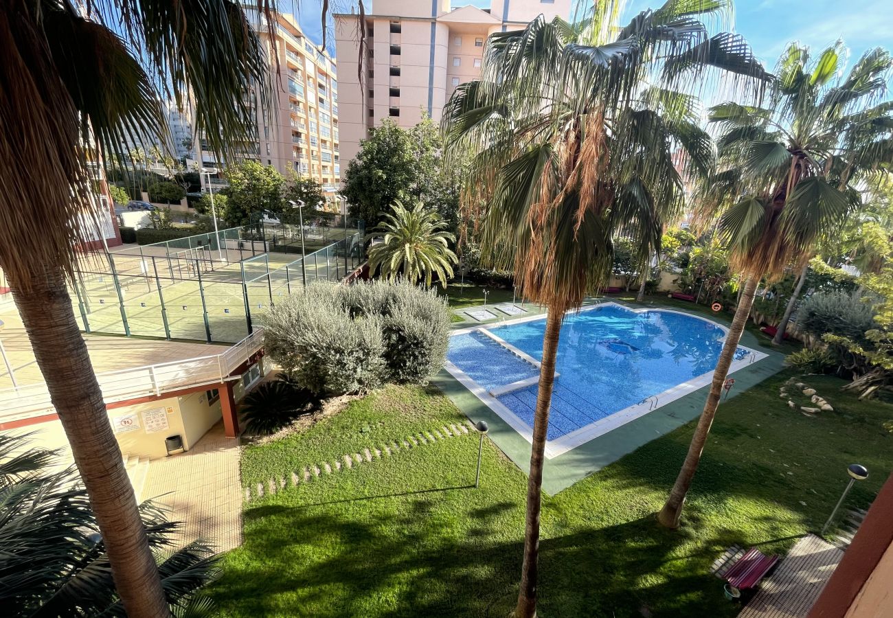 Grand espace vert avec piscine et courts de tennis dans cet appartement à Alicante.
