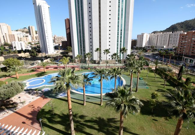 Espace commun avec piscine et palmiers de l'appartement de vacances d'Alicante