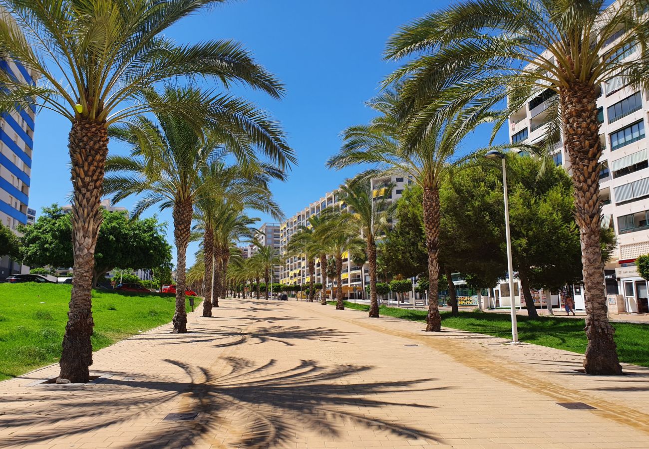 Promenade avec des palmiers sur la plage d'Alicante