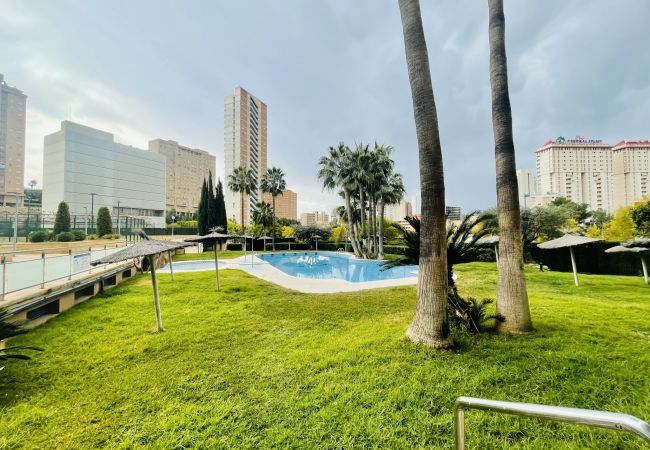 Appartement à Benidorm - A1043 - Torre Dos Calas