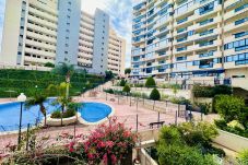 Appartement à Villajoyosa - T1110 - Las Azaleas