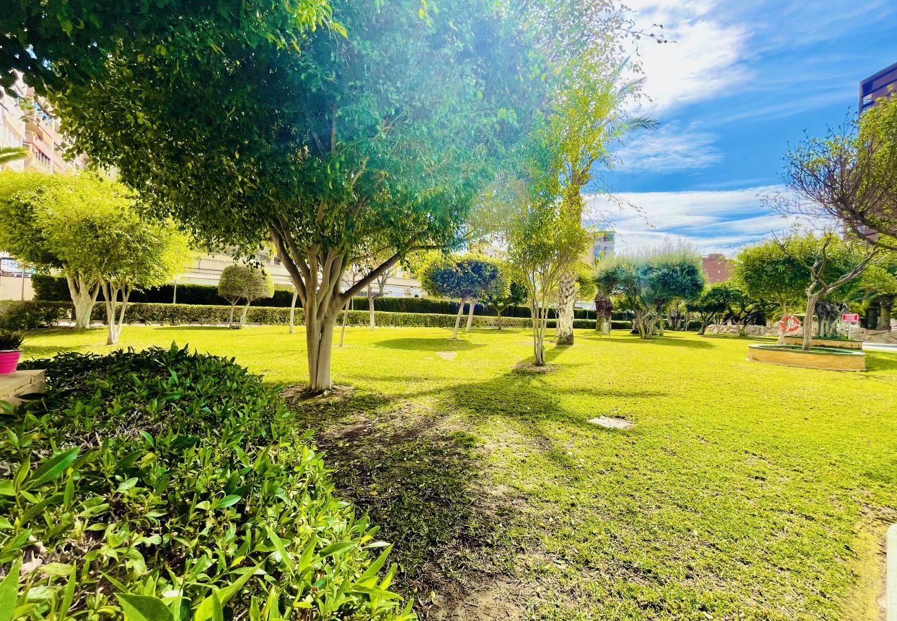 Appartement à Finestrat - T1122 - Calasol